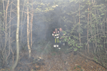 Prio 1 Berm Ruigte Brand Poelepaad Buitenpost